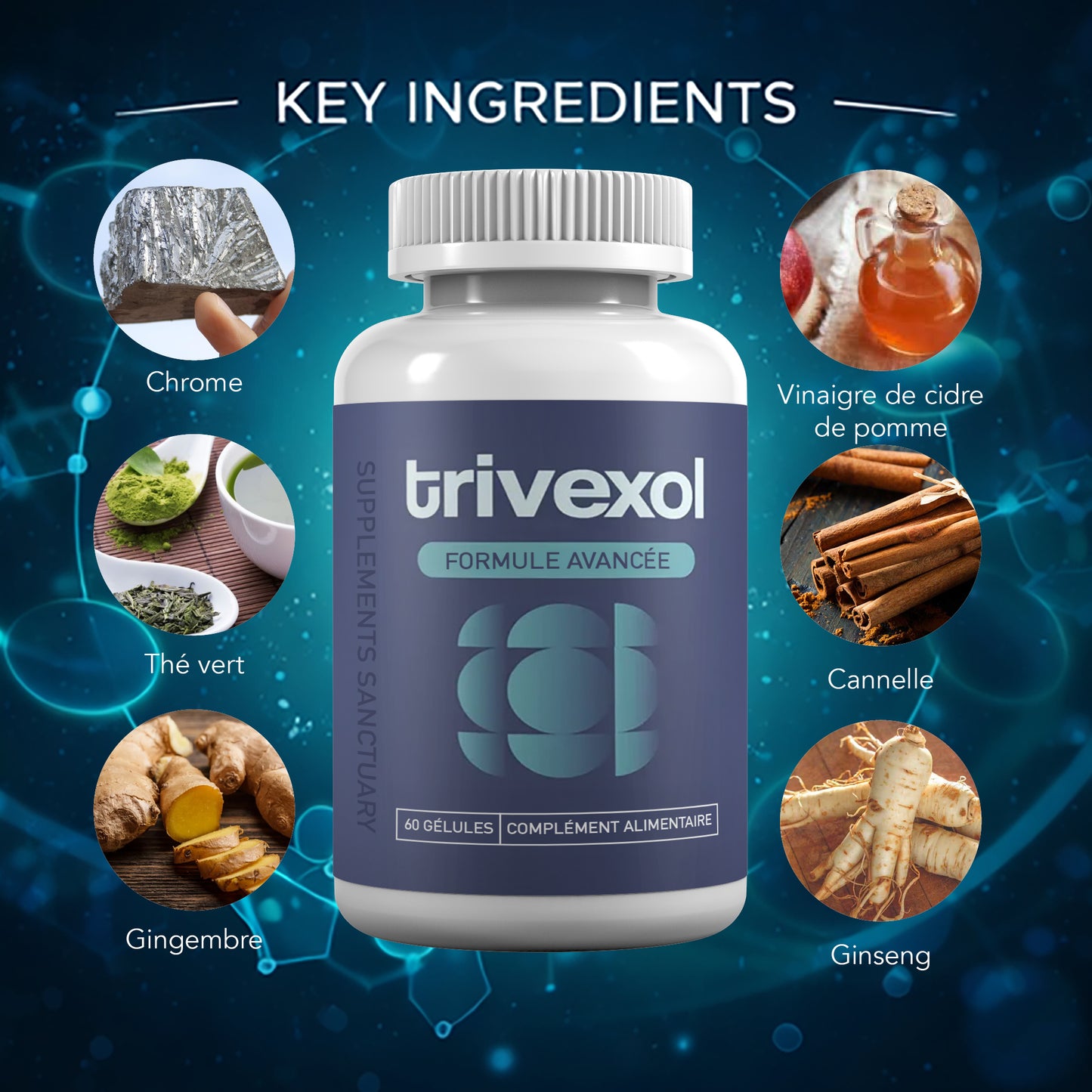 Trivexol Advanced Metabolic Formula – Chromium, Green Tea, Apple Cider Vinegar & Botanicals – 60 Capsules